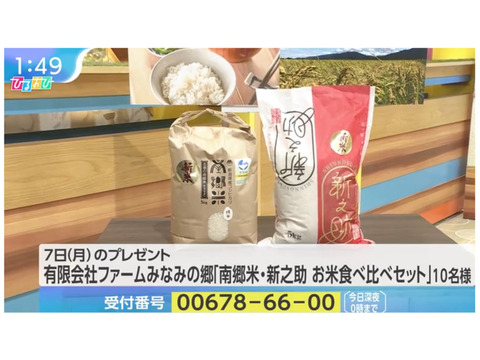 【令和７年産 新米】 特別栽培米''隠れたお米の名産地''新潟県五泉産コシヒカリ100%「南郷米」玄米20kg