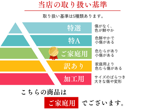【訳あり】りんご ふじ  サンふじ 家庭用 10キロ 32～36玉 スッキリ美味しい 3kg  さんふじ リンゴ スイーツ 果物 安い 秋田