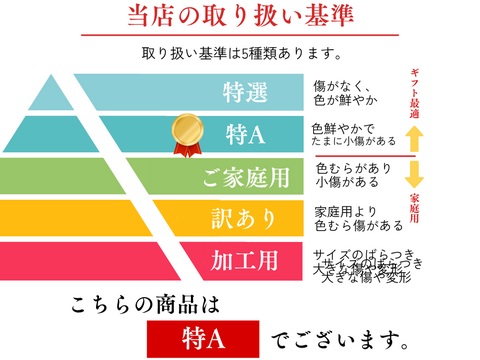 【貯蔵リンゴ】ふじ サンふじ  約8〜10玉 3キロ 希少 発送 りんご 雪室 秋田 雪 甘い 雪中貯蔵 長期保存りんご りんごの効能 Apple 母の日 ギフト フルーツ 家庭用