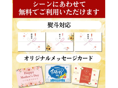 【9周年感謝祭】沼津産真鯛 ごま茶漬け50g×10袋