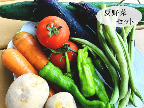 【丹波篠山認定農家 〈数量限定〉夏の味覚をたっぷりお届け】お得な夏野菜6品目以上！たっぷり詰め合わせおまかせセット（80サイズ）先行予約受付開始！丹波篠山自然の恵み