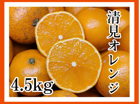 【清見オレンジ 4.5kg】サイズ混合小玉多め　和歌山県有田市　産地直送