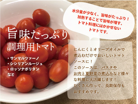 こだわりのトマト　食べ比べセット〈化学肥料・農薬不使用〉