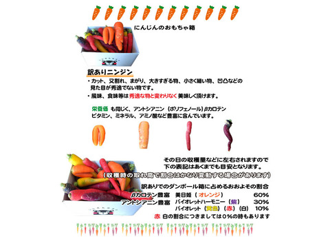 熊本県芦北産甘いフルーツにんじん「食べ比べ」アロマレッド【訳あり】詰め合わせ美日姫３キロ農薬化学肥料不使用 高品質にんじん サラダ ジュース  炒めても絶品  スティックジュースで無限消費確定！