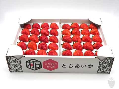 あま〜い♡がギュッとつまった新品種『とちあいか』3箱12パック(1箱で満足1,4kg以上)