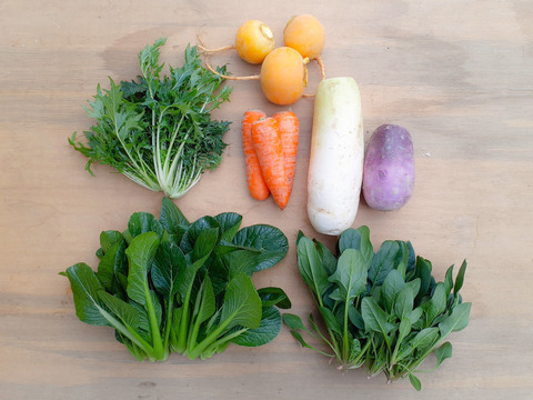 ちょっとオトクな2月のmini野菜セット　『子育て農家の野菜セット』　5～6品目