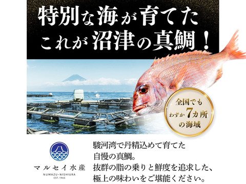 【9周年感謝祭】沼津産真鯛 ごま茶漬け50g×10袋