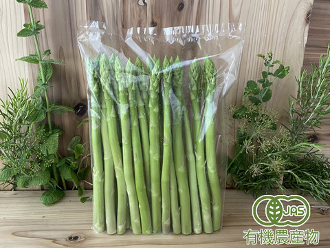 【Lサイズ】オーガニック サマーアスパラガス 500g