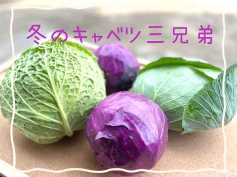 【有名ホテルシェフ御用達】カラダ喜ぶ『Ⅼサイズ冬のカラフル野菜セット10品目～』