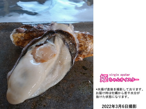 【希少】バージン牡蠣20個 三陸宮城女川産 姫ちゃんオイスター 殻付き 生牡蠣 生食用 BBQ【焼いても・蒸してもぷりっぷり♪】