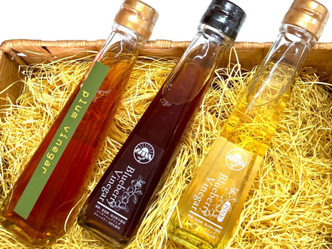 【夏ギフト】ブルーベリー＆梅の飲む酢 120ml × ３色【環境とカラダにやさしいソーラーシェアリング栽培ブルーベリー使用】