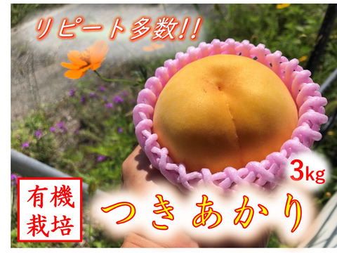 リピート続出！【有機栽培の『つきあかり』 約3kg】自然に優しく希少でジューシーな天然桃(9～12個入)！