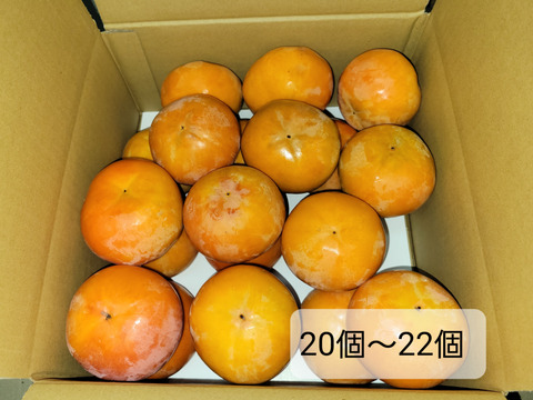 ☆彡秋の大豊作祭☆彡　和歌山県産　　富有柿　極甘(秀品)5kg　2Lサイズ