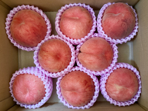 ※注意硬い桃です※🍑『おどろき訳あり品』２Kg箱入り　６個から８個入り