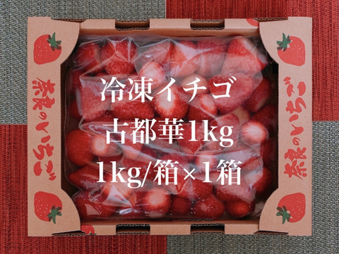 冷凍イチゴ 奈良県特産「古都華」1kg ☆クール冷凍便☆：奈良県産の