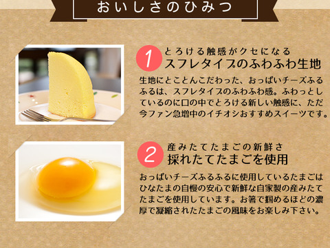 【ギフトにも♪♪】ふんわりふるふる！おっぱいチーズケーキSサイズ2個セット！　食べチョク