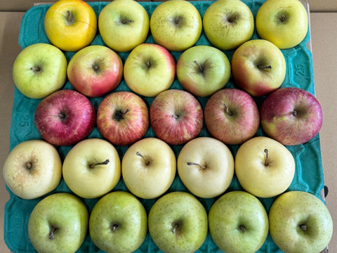 オールスター小玉🍎🍏💛💚家庭用約4.5Kg　サンふじ　王林　シナノゴールド　ぐんま名月　金星　青森県産　数量限定　おうりん　ぐんまめいげつ　きんせい