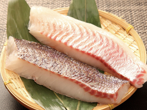 冬ギフト 豪華桐箱入り 沼津産マダイづくしセット 鯛ごま茶漬け ひもの 煮付け さしみ 昆布締め 鯛みそ 鯛しゃぶ のし対応可 静岡県産の魚介類 食べチョク 産地直送 産直 お取り寄せ通販 農家 漁師から旬の食材を直送