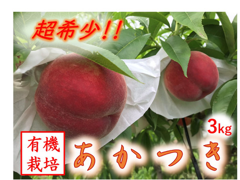 【有機栽培の『あかつき』 約3kg】自然に優しく希少でジューシーな天然桃(9～12個入)！