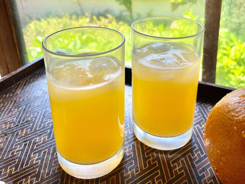 ジューシー！自然農の甘夏と紅甘夏　食べ比べ　8kg