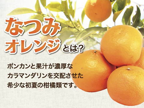 【朝市限定】3㎏：とみ子ばぁばの『なつみ』希少柑橘