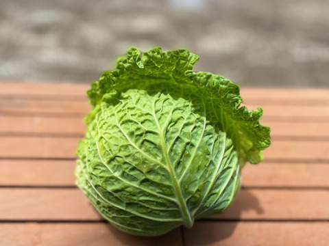 【クール便】期間限定♪
『Ⅼサイズカラダ喜ぶ夏野菜セット10種以上計12袋』