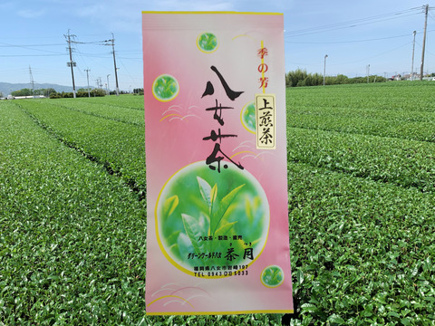 【国産】緑茶 八女茶 上煎茶100g【1袋】