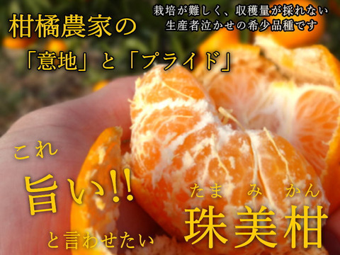 【福袋】最新品種多数！史上最大のみかん食べ比べ！こだわり７品種がこの１箱でまるごと楽しめる！「旬のこだわり柑橘食べ比べ玉手箱-虹色-」　ご家庭用　約３kg入　【商品番号】【2002】