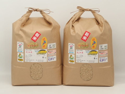 ✣玄米で食べてニッコリのコシヒカリ✣農薬・化学肥料不使用 ✣菜の花米✣10kg玄米