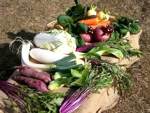 【福袋】日頃の感謝を込めてダンボール80サイズぱんぱんで自然栽培野菜8〜10品目セットのお届けの為箱が変形しているかもしれませんがご了承下さい。