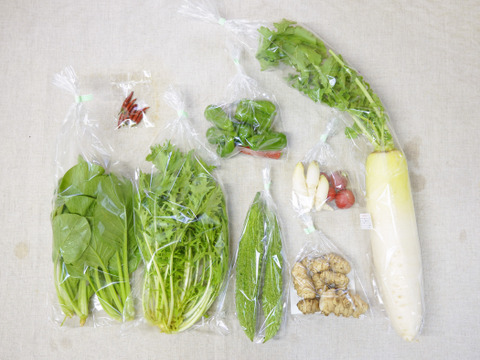 【抗酸化力に注目】オーガニック・野菜セット・７袋前後