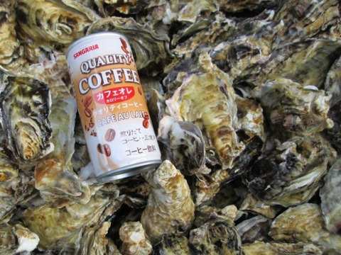 ＳＳサイズ５ｋｇ 約50個 使い勝手が良い冷凍品★冷凍便 宮城県産 殻付き牡蠣 殻付き 殻付 カキ 加熱調理用  松島牡蠣屋 牡蛎 kaki かき カキ 冷凍牡蠣 貝 貝類