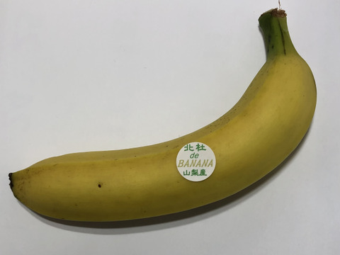 山梨県産バナナ〈1本〉　無農薬・無化学肥料　皮ごと食べられる国産バナナ！北杜deバナナができました