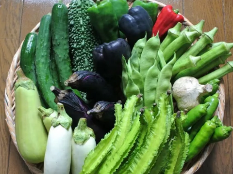 【旬のお勧め野菜セット】＊6品目以上～農薬/化学肥料・不使用