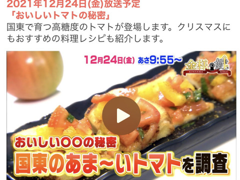 ★★高糖度『潮の香りトマト』３kg(H)