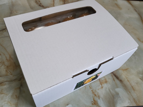 袋掛け栽培！愛知びわ『茂木』15～18ヶ入り×2P　専用輸送箱入り