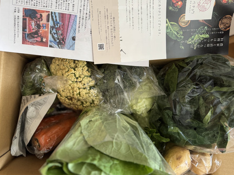 【初回限定BOX】使いやすいお野菜セット※おススメレシピ付き‼