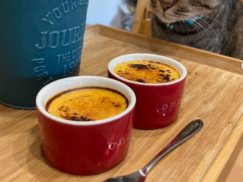 農薬肥料不使用！！【バターナッツ】【小ぶり玉ねぎ】【にんにくホワイト六片】野菜セット