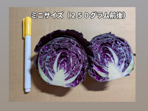 小さい野菜の詰め合わせ