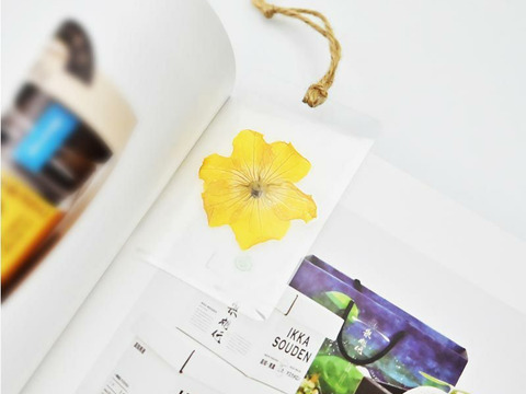 【母の日ギフト】厳選1玉箱入りマスクメロン