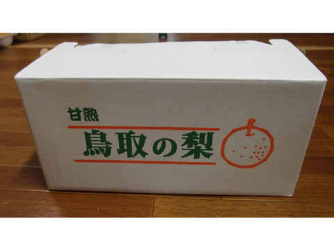 【冬のギフトにも♪】鳥取県産　あたご梨　2玉入り（約2.5kg）