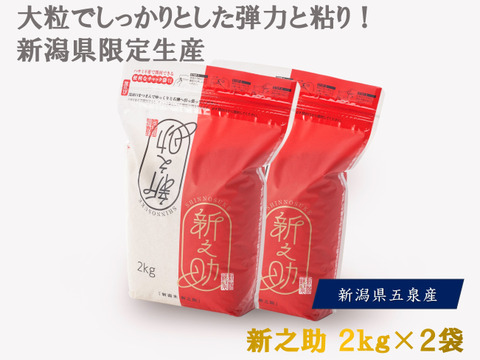 年末年始特別値引き！ 令和7年産！新之助２ｋｇ×２袋　精米