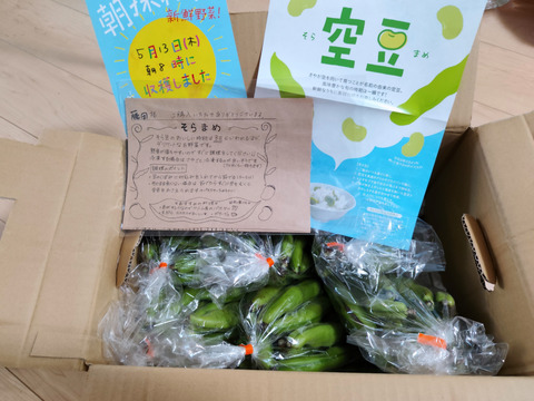 5月発【豊作　増量♫ 】”スルっと”食べられる そら豆
4名以上にオススメ　3000g→3300g from 名水の里　神奈川県秦野市