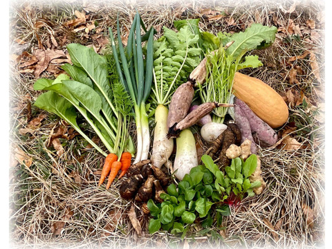 初夏の旬をそのままお届け！！皮ごと食べれる農薬不使用・在来種のSサイズ棚田野菜セット！