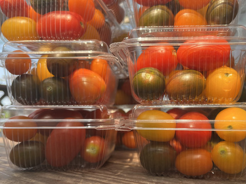 有機JAS認証☆彡宝石みたいな カラフルミニトマト《4kg》