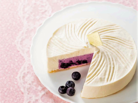 【冷凍便】濃厚ブルーベリーチーズケーキ『6月の雪』