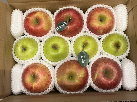 【冬ギフト】 🍎大人気🍏葉とらずふじ・王林  計9～15玉
詰め合わせ3キロ箱 ミックス ID118320