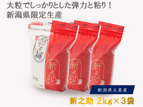 令和7年新米 予約受付中！　新之助２ｋｇ×３袋　精米