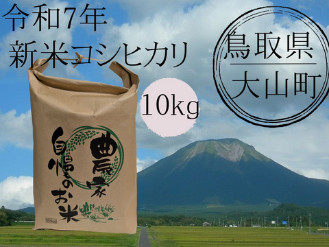 鳥取県産コシヒカリ10kg　送料無料 先行予約】新米 令和7年産 鳥取県産コシヒカリ 10kg 返礼品 米