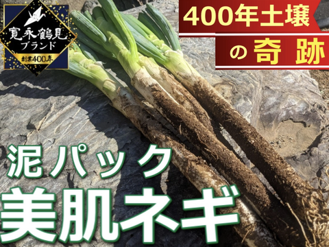 【最高糖度15度超え】日テレ出演で話題💡400年の土壌にギリギリまで眠らせた泥パックネギ【お得な大容量パッケージ約１キロ】